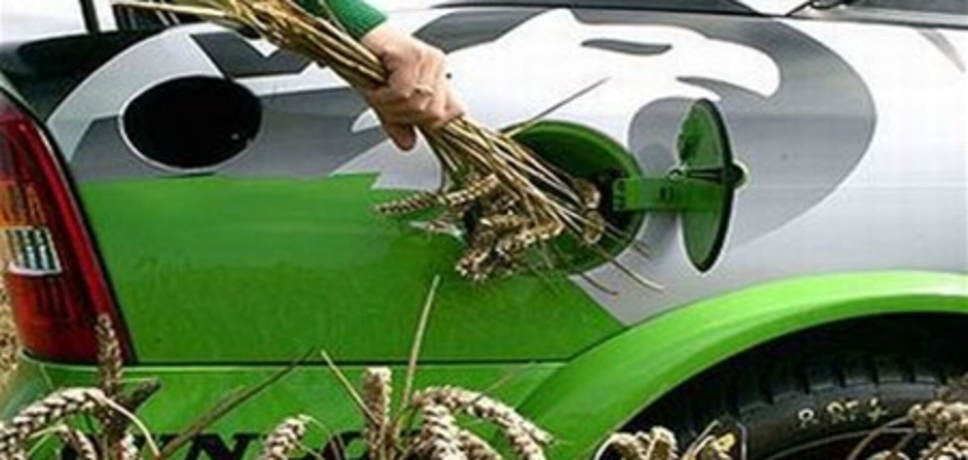 Мир начал разочаровываться в биотопливе