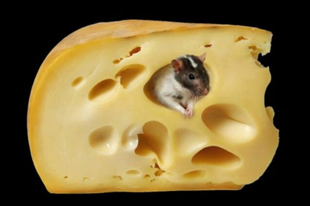 Киев попросит Москву доказать плохое качество сыра