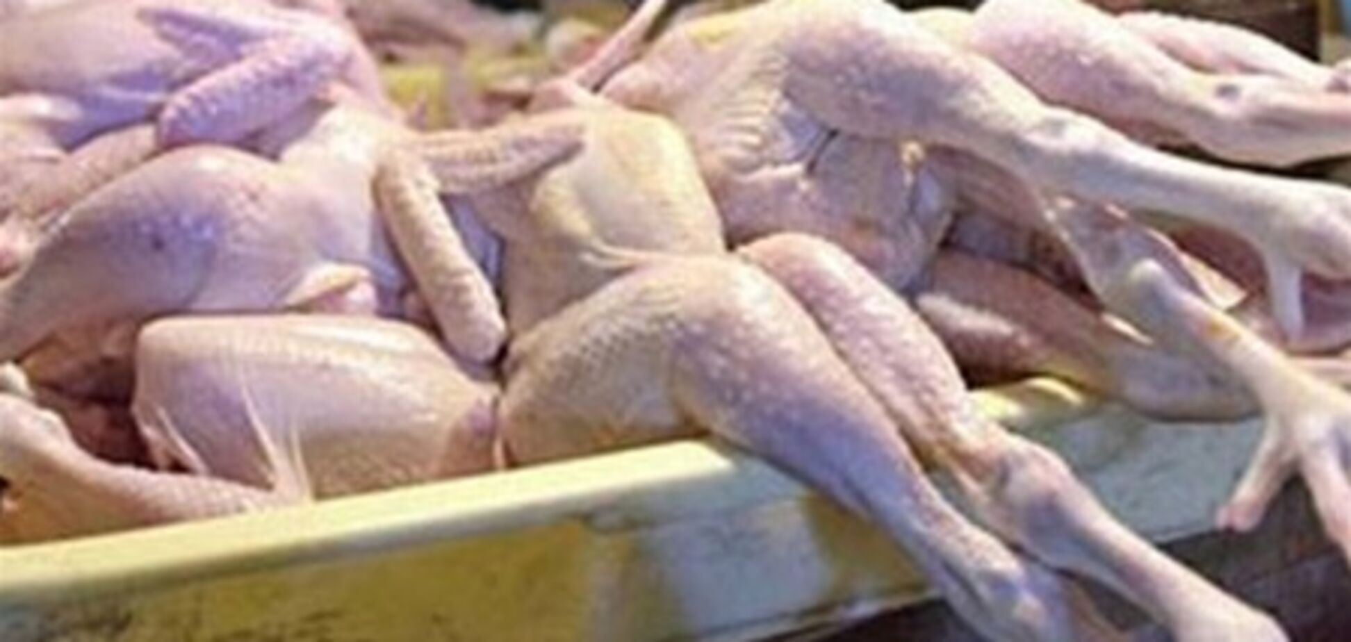 В українській курятині виявили небезпечну бактерію
