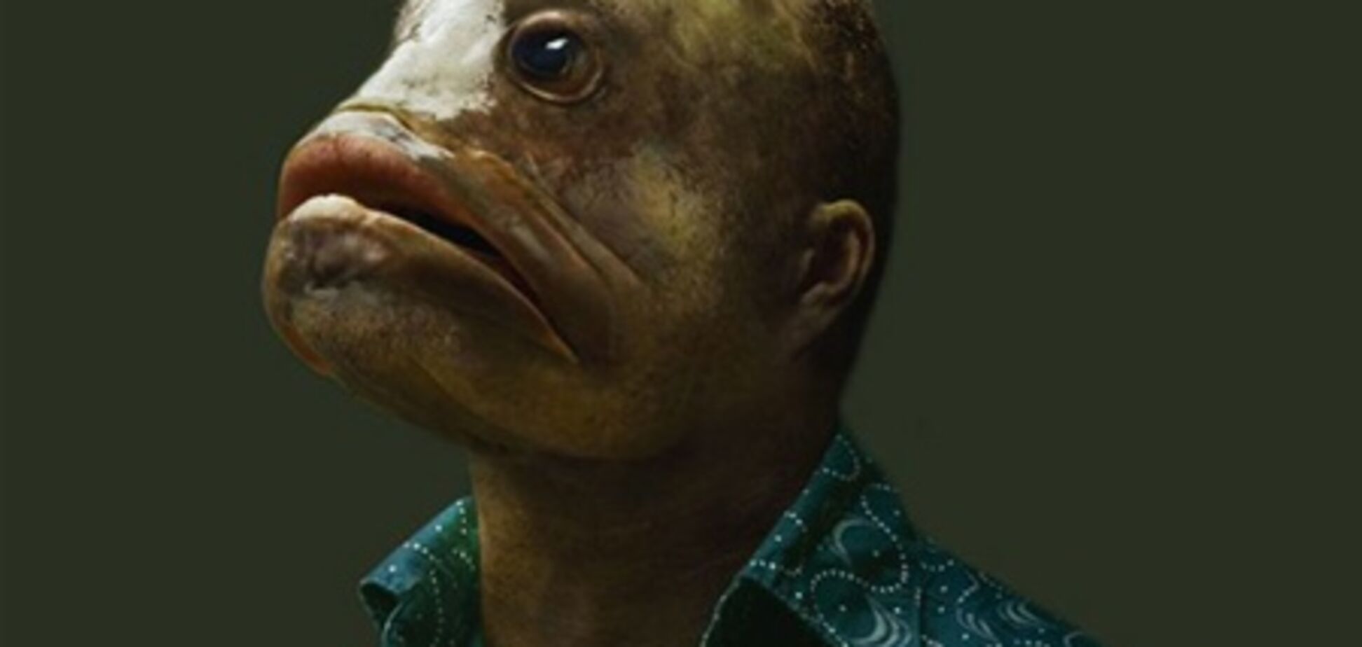 Если ваша жена в юности спала с негром, у вас может родиться мулат