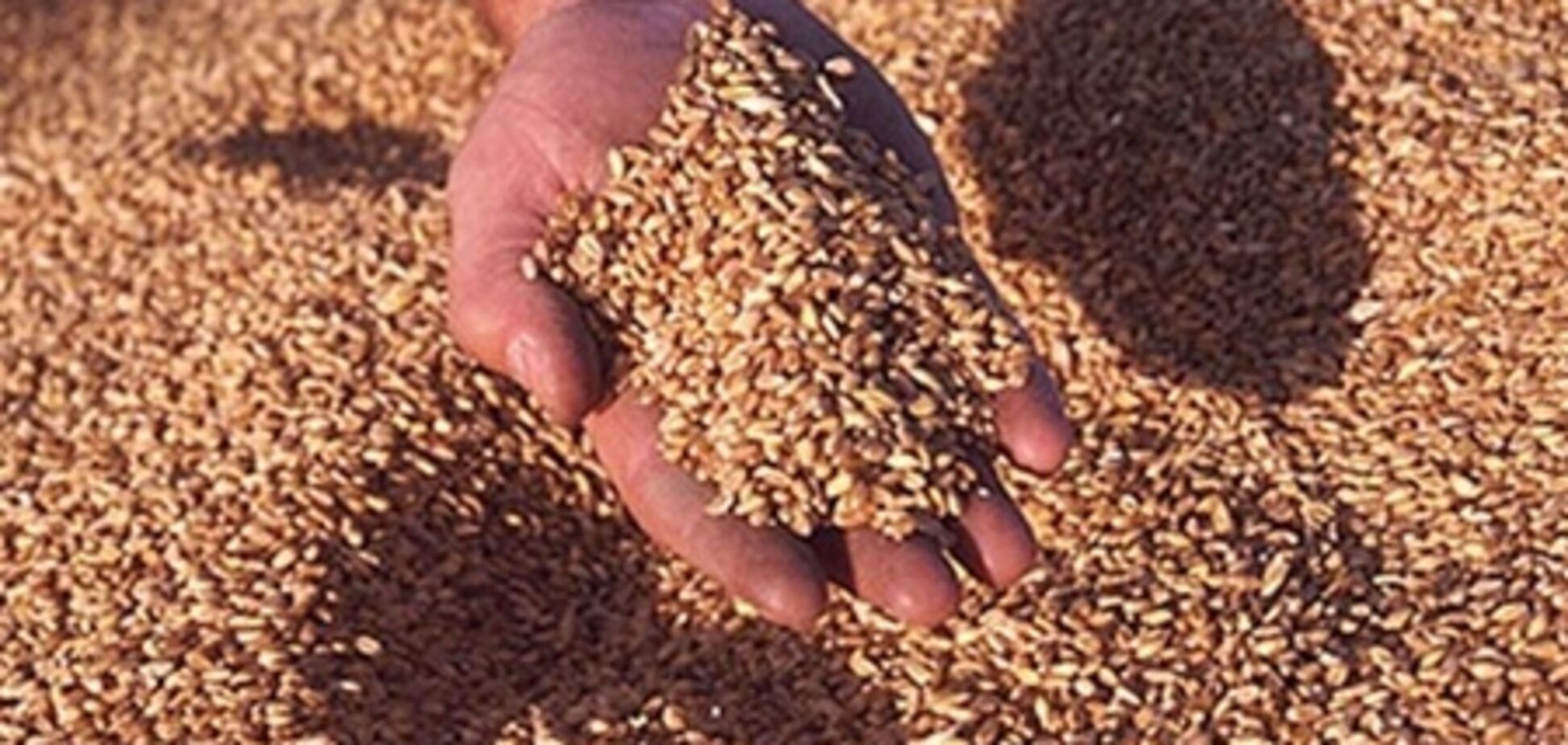 Троє підлітків за ніч вкрали 9,5 тонн зерна