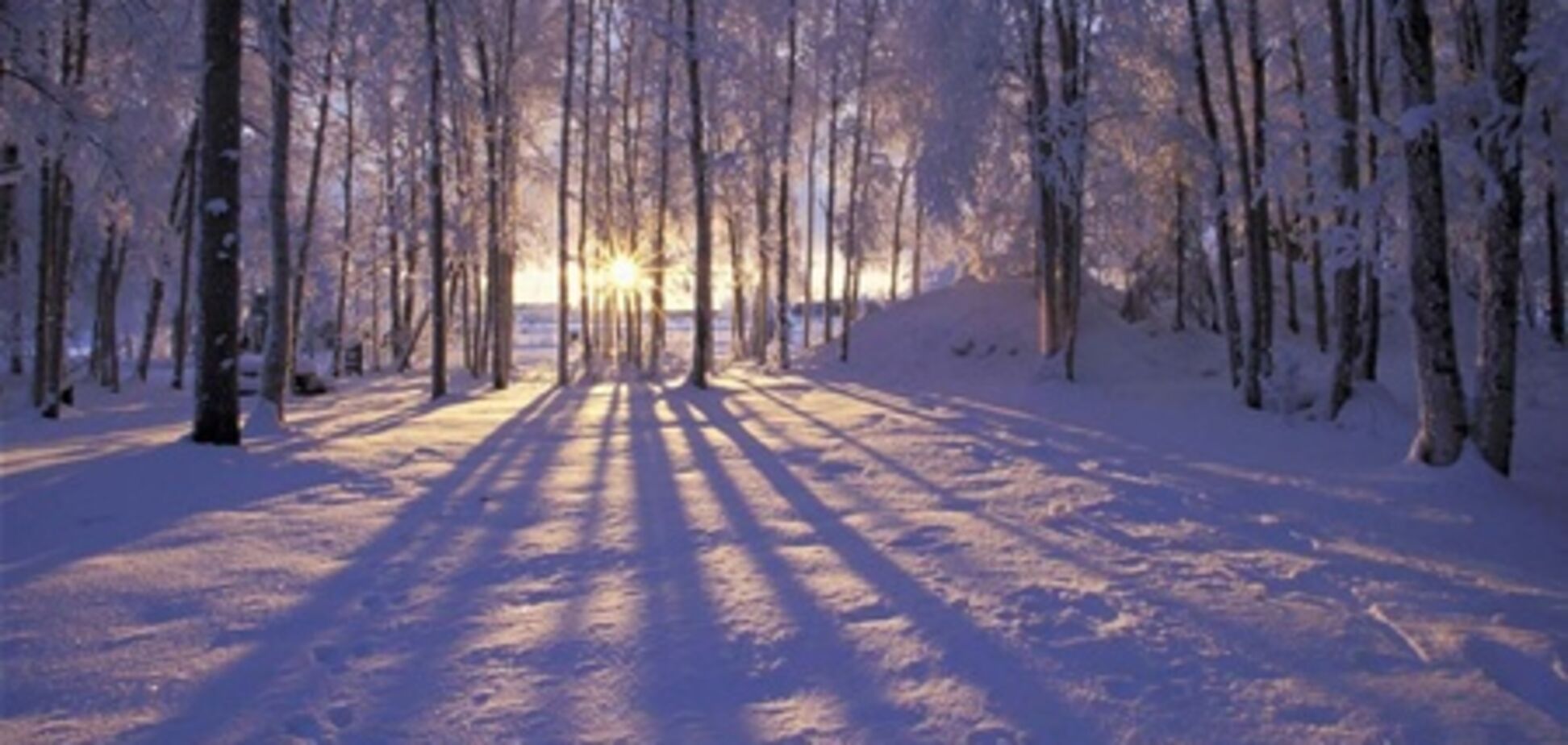 Мечтаете о настоящей зиме – спешите в Коми