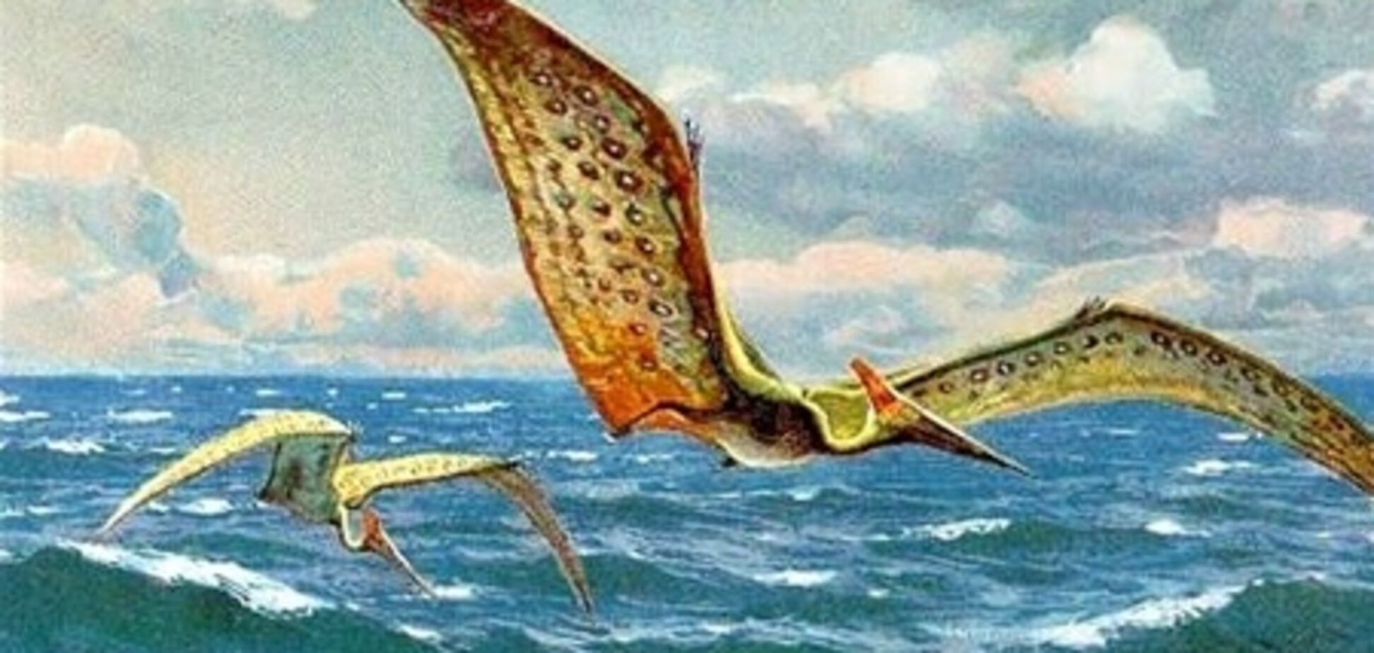 Супермаркет 'Сокіл': туди я більше ні ногою!