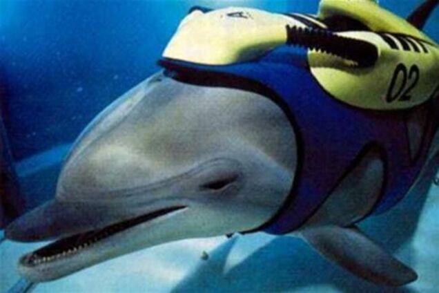 США готує загін 'дельфінів-спецназівців' проти Ірану