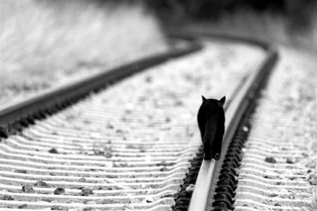 ЮЖД испытала первый украинский скоростной поезд