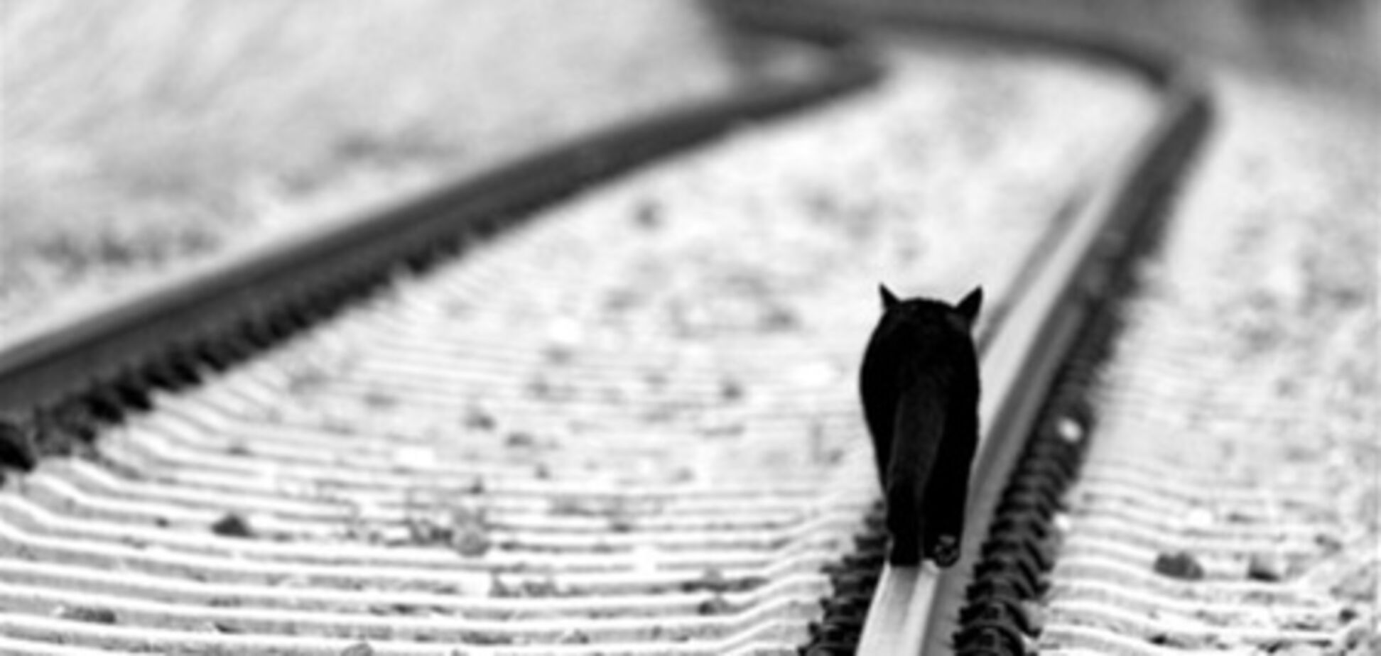 ЮЖД испытала первый украинский скоростной поезд