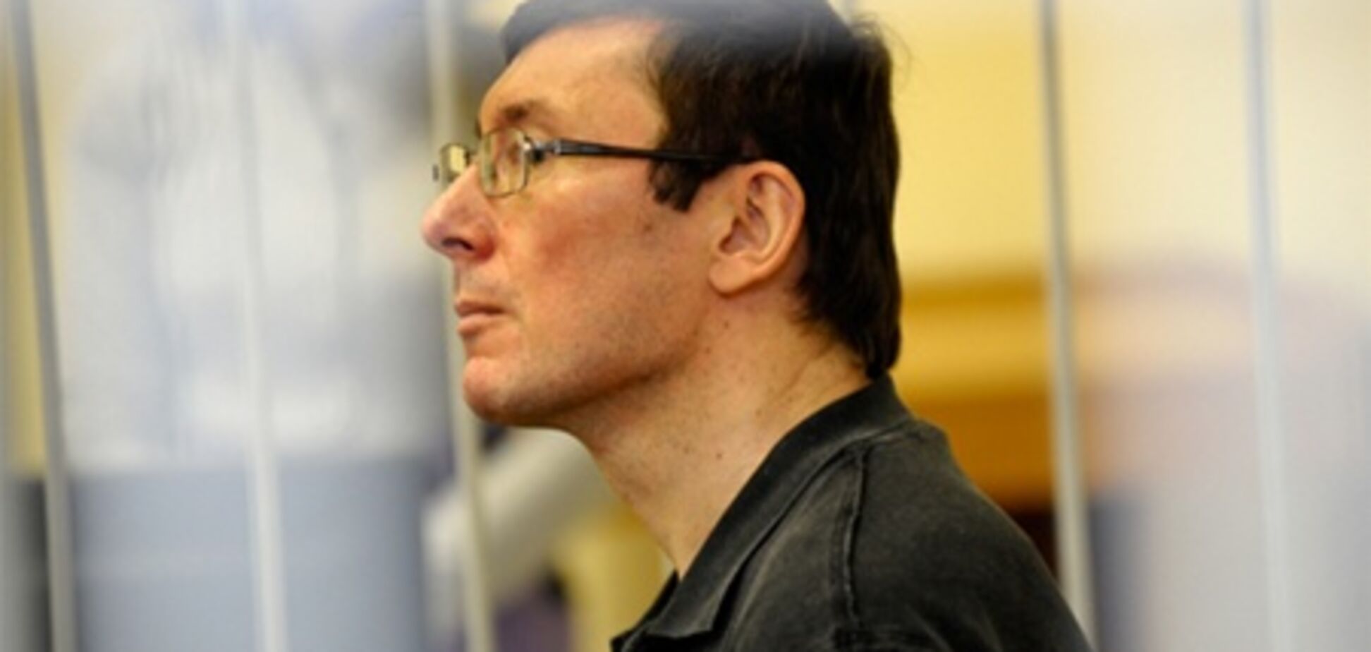 У водителя Луценко нашли липовый диплом