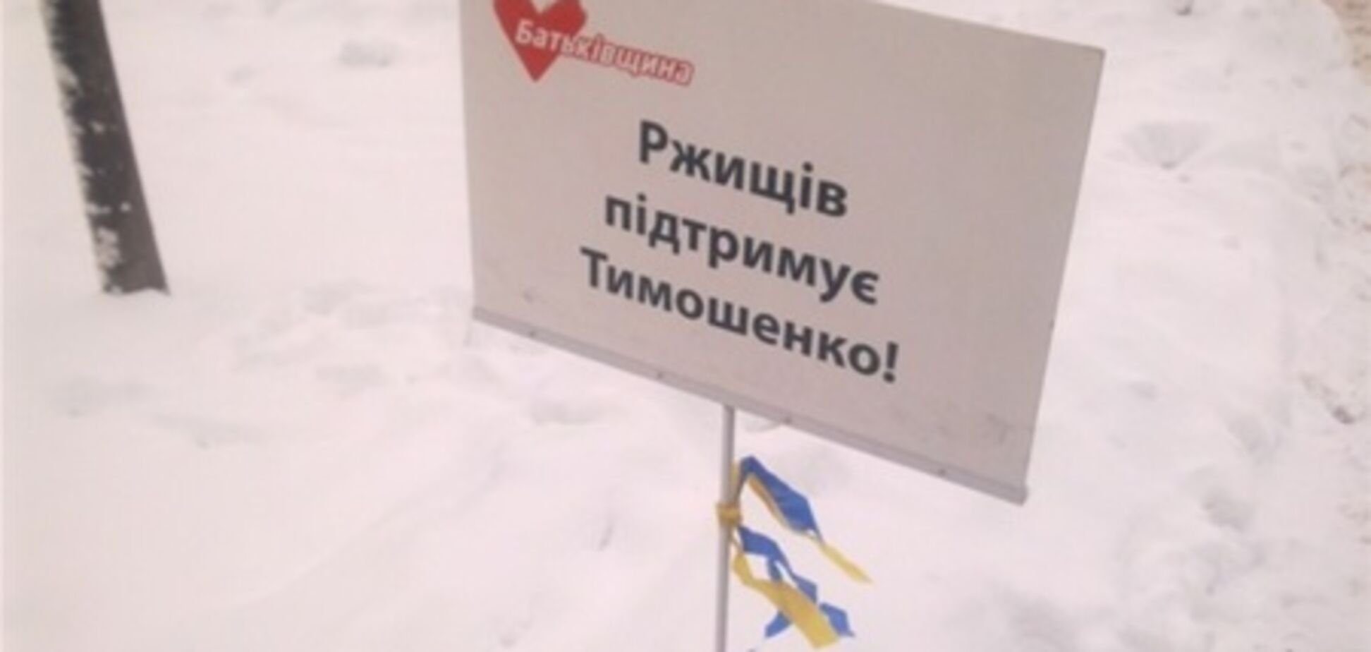 Оппозиція проплатила мітингуючих на День Соборності. Фото