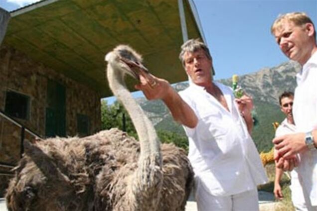 Политики и животные