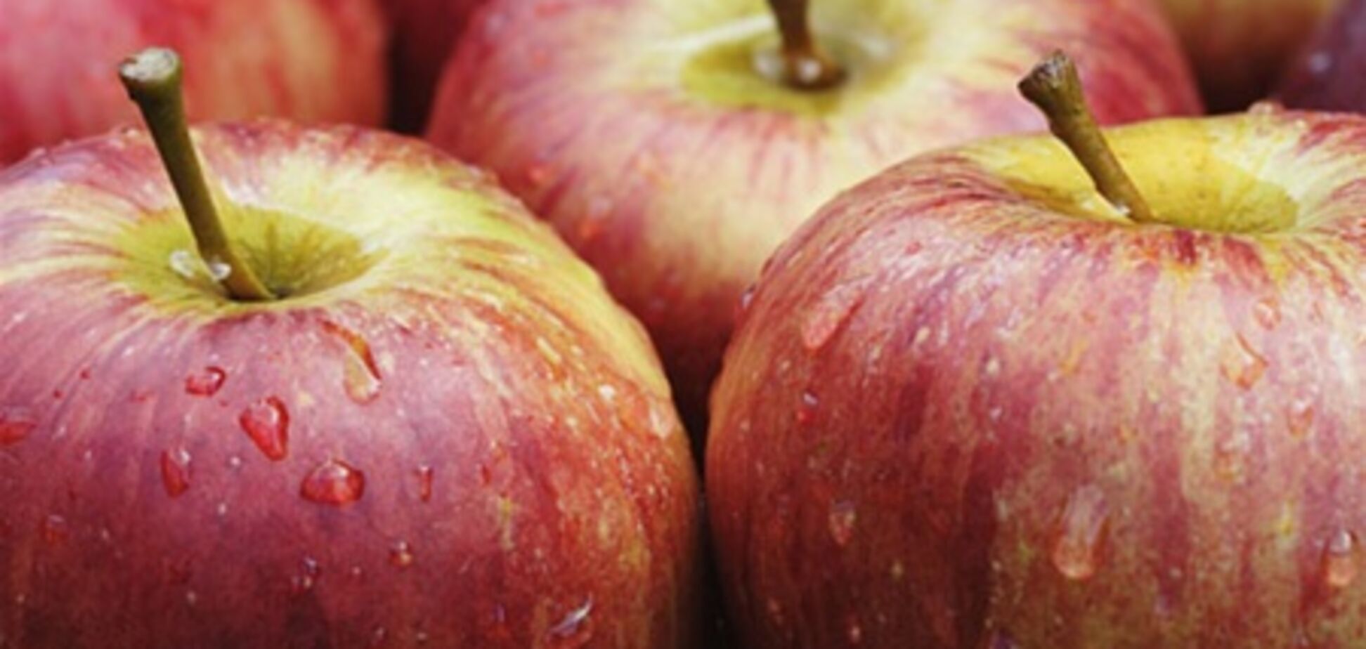 Прогноз цен на февраль: яблоки в 'плюсах'