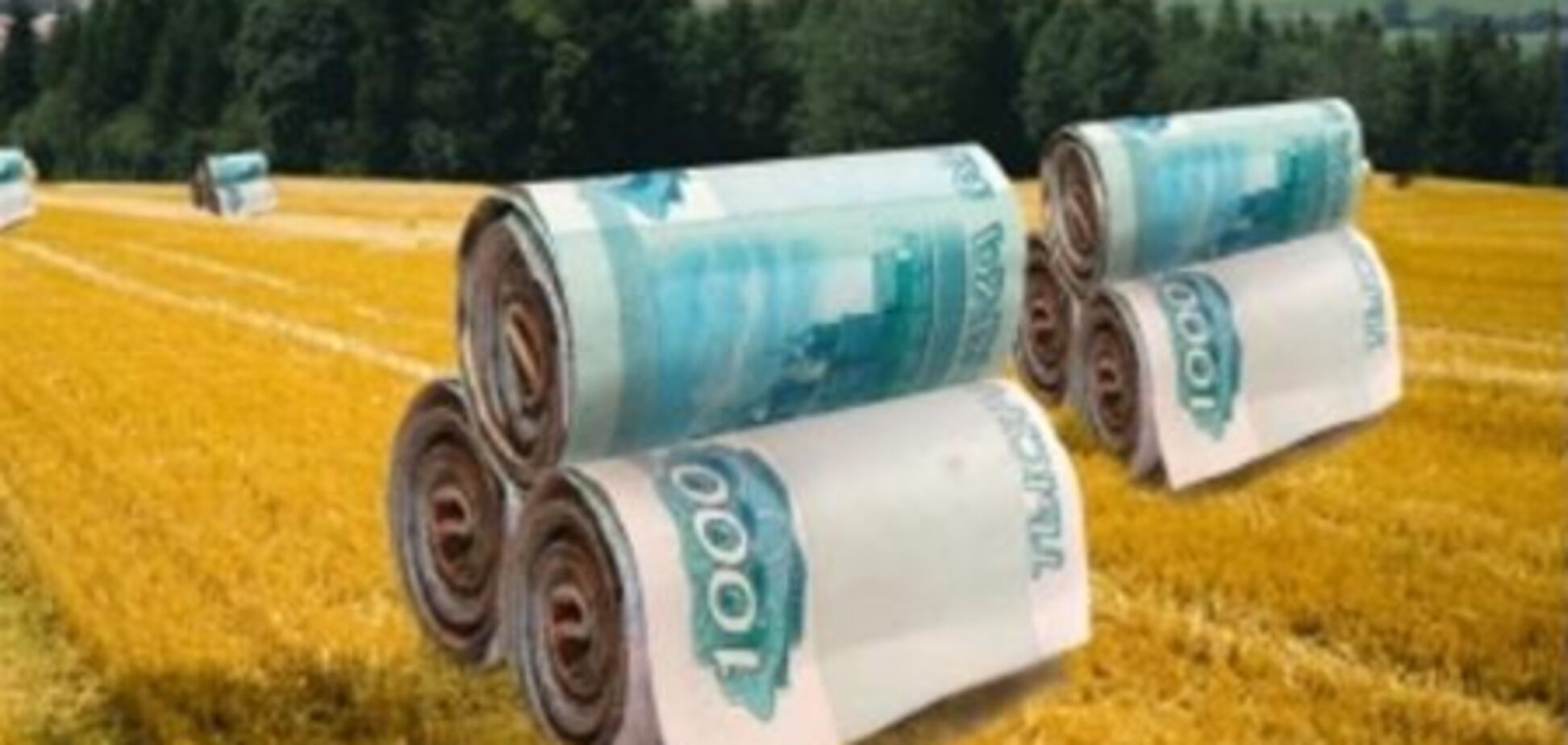 В украинский агробизнес придут индусы