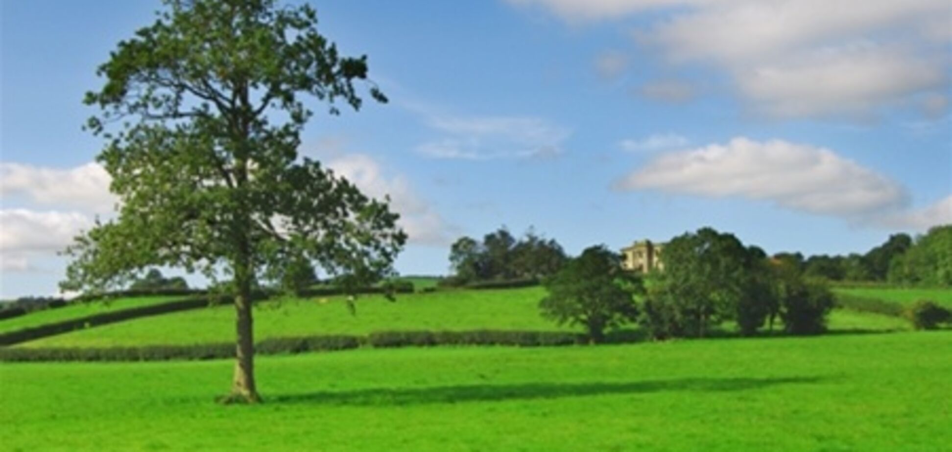 Крымское правительство выделило 765 га земли трем фирмам