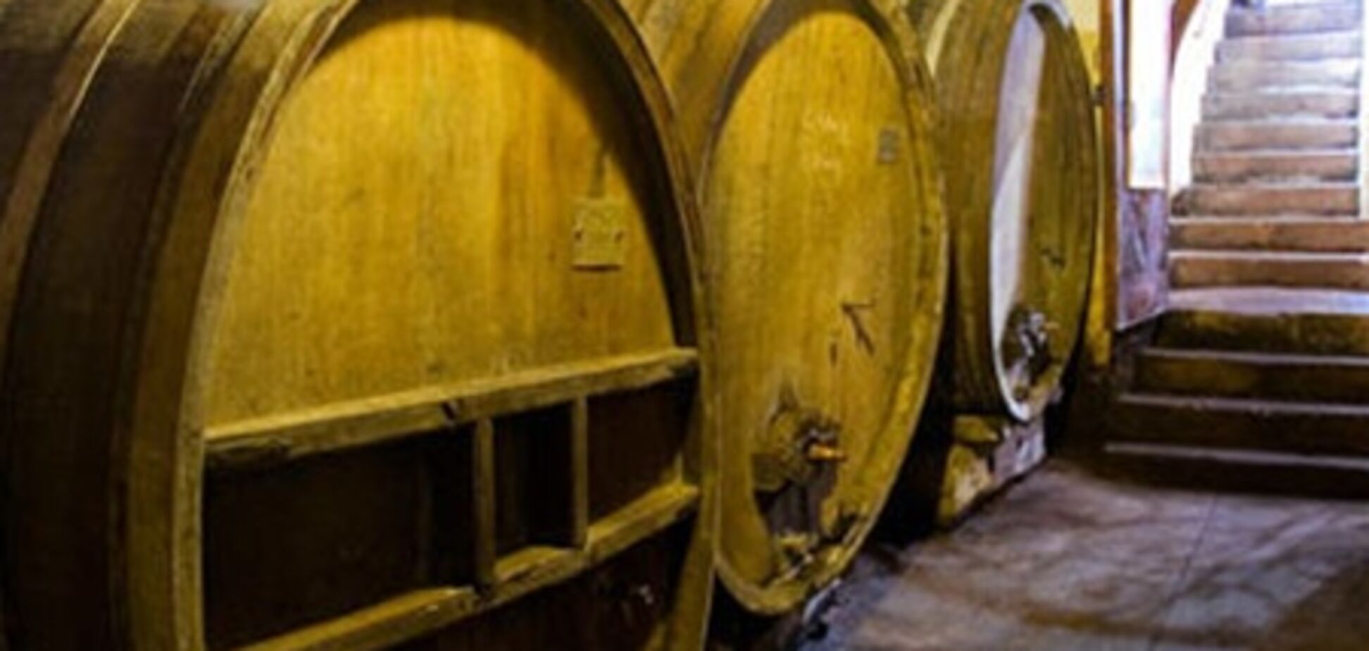 В прошлом году собрано около 350 тысяч тонн винограда