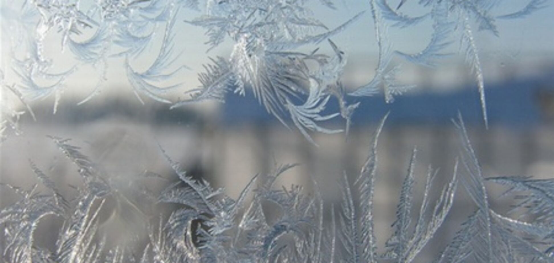 На Камчатку пришли аномальные 50-градусные морозы