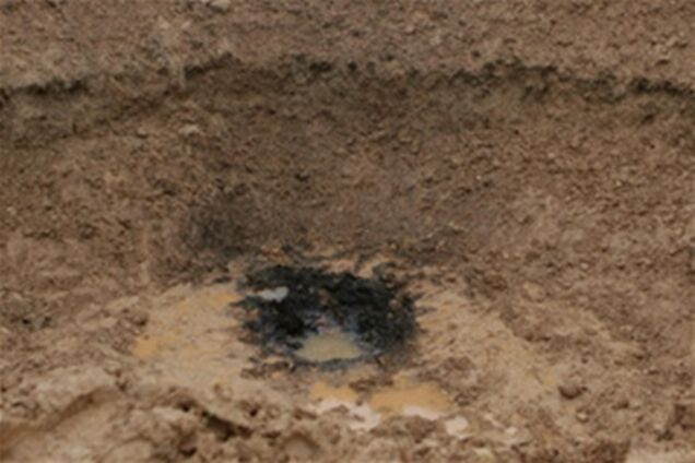 Бельгійка хоче продати метеорит, що впав біля її будинку