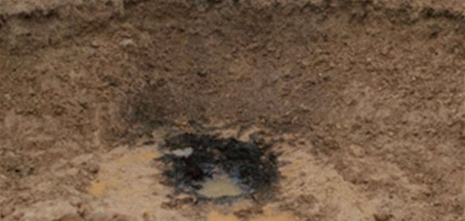 Бельгійка хоче продати метеорит, що впав біля її будинку