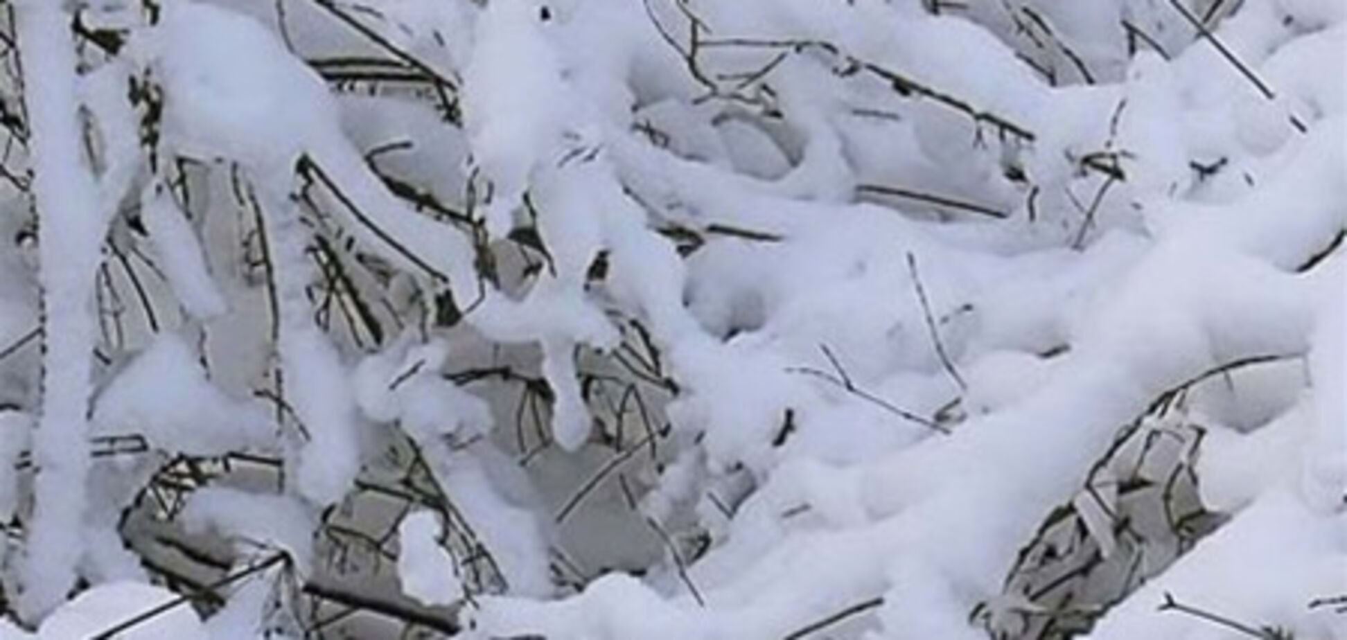 До 16 января в Украине будет тепло