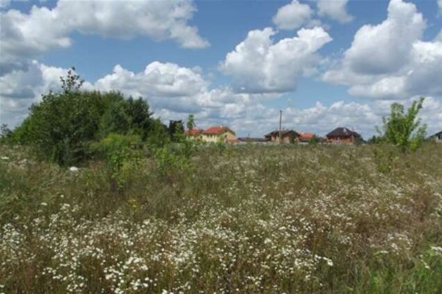 Где нам стоит дом построить