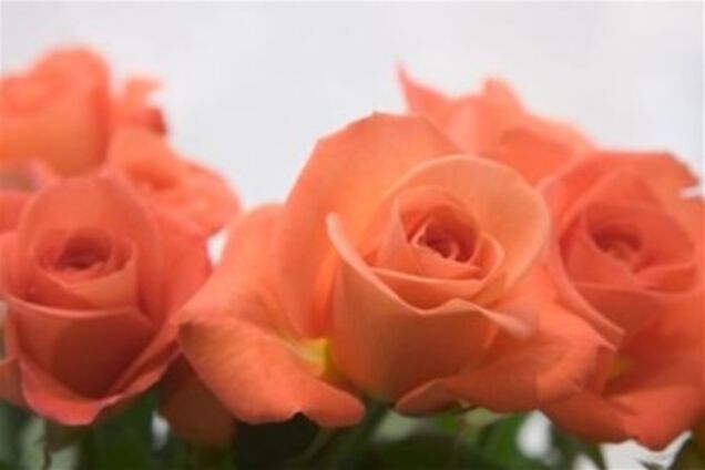 В Одессе девушка получила год тюрьмы за кражу букета цветов