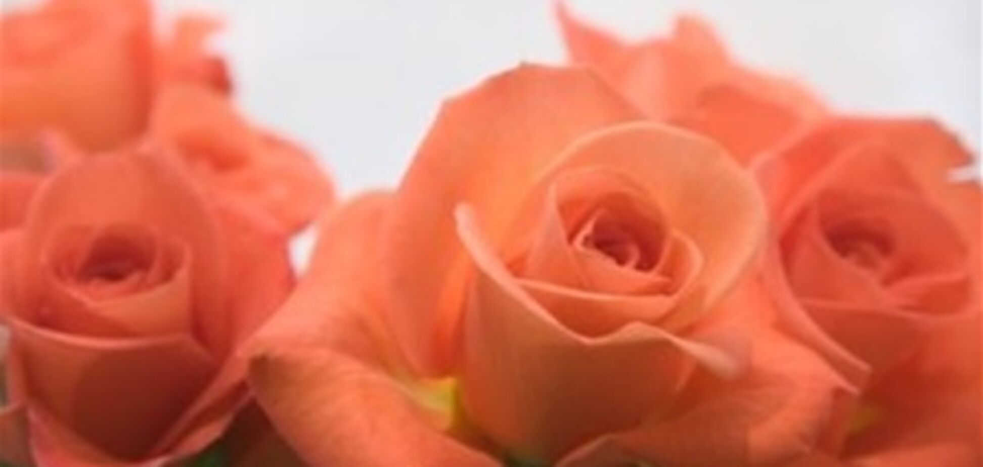 В Одессе девушка получила год тюрьмы за кражу букета цветов