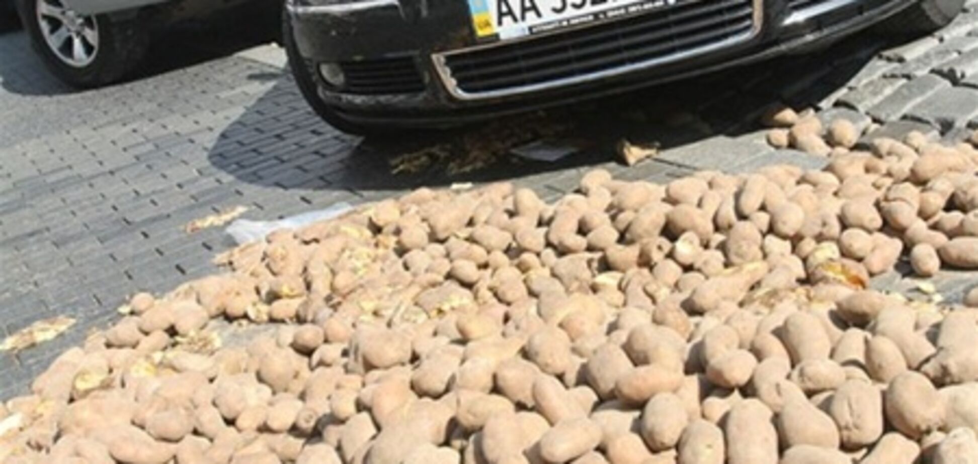 Под Кабмином раздавали картошку