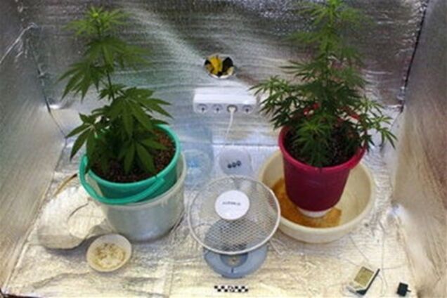 В Киеве обнаружили нарколабораторию