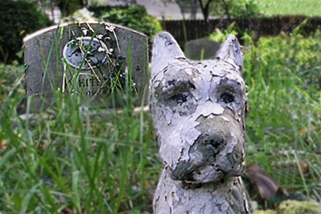 В Одессе построят первое в Украине кладбище для домашних животных