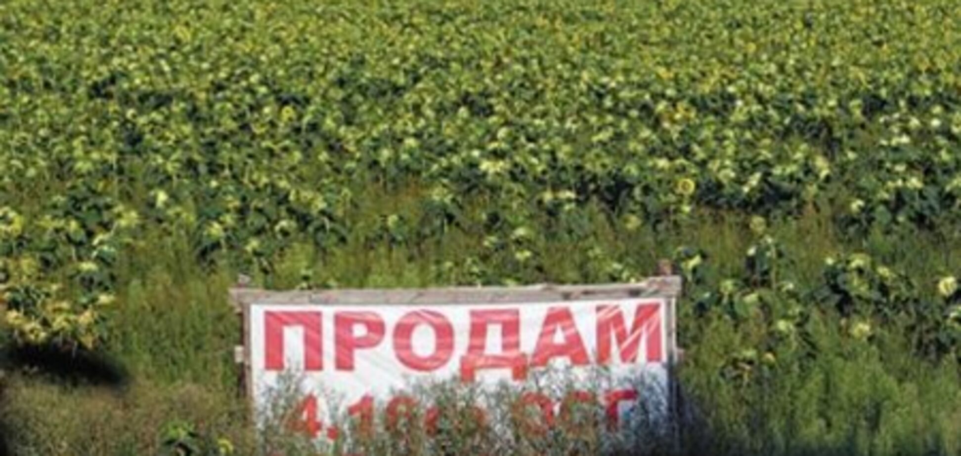 Мораторий на продажу земли сельхозназначения может продлеваться