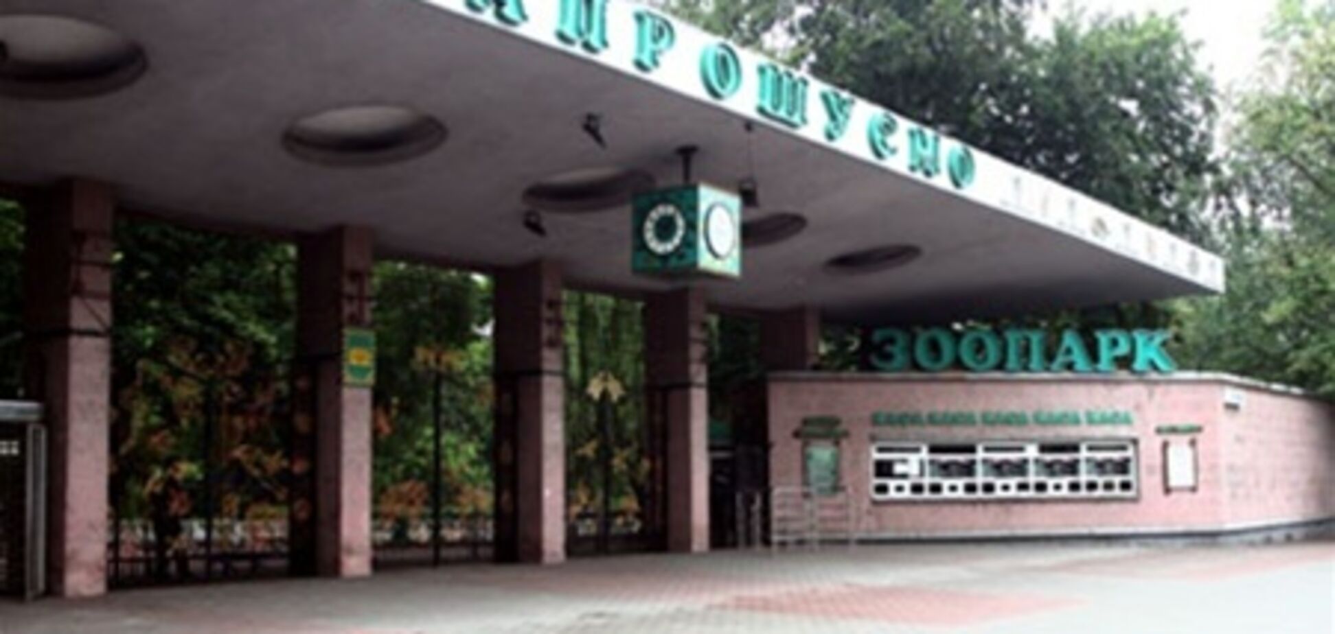 КГГА проводит конкурс на лучшего директора зоопарка