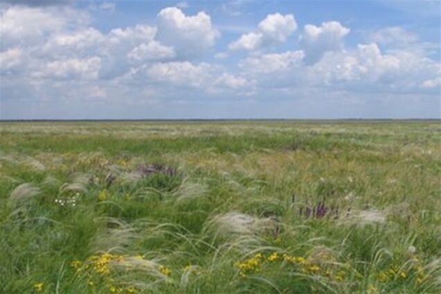 В заповеднике 'Аскания-Нова' из-за поджога случился пожар