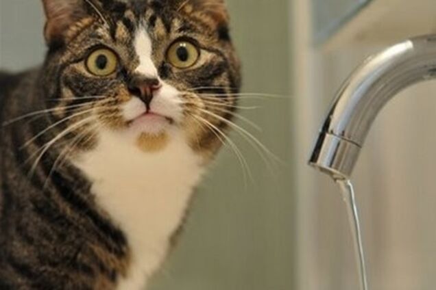 Водоснабжение Степногорска Запорожской области восстановлено