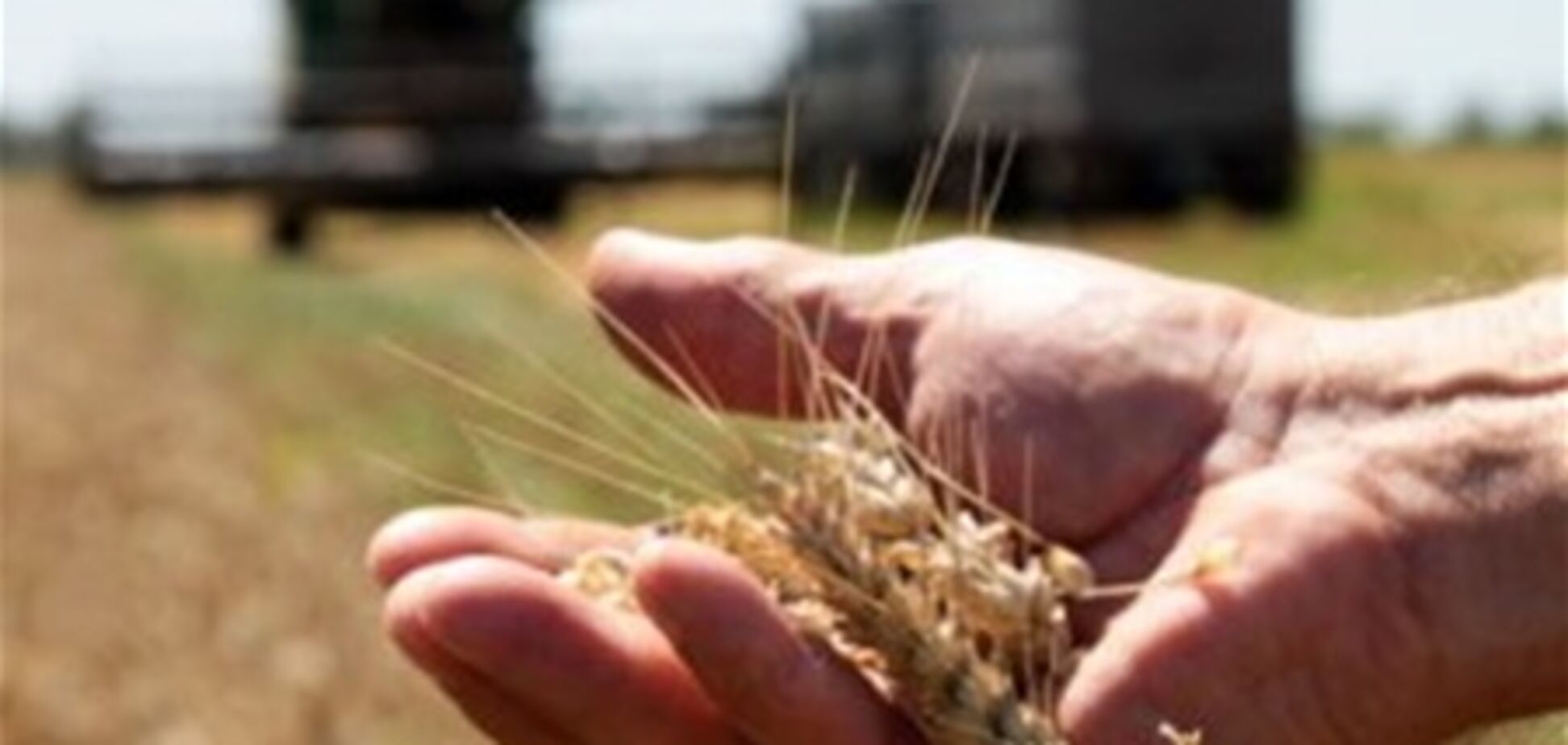 Депутаты не продлили мораторий на продажу земли