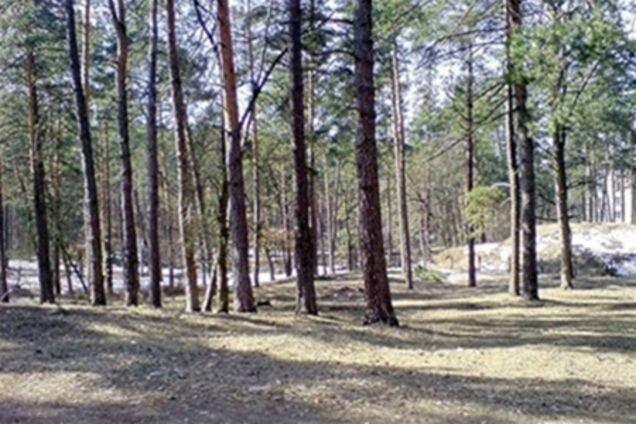 Прокуратура Киева всерьез взялась за Беличанский лес