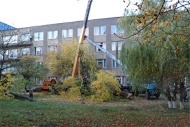 На Одесщине дерево упало на автокран и убило водителя