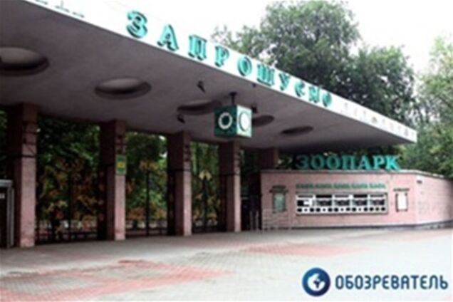 Курыкин: Киевскому зоопарку нужен кризисный менеджер