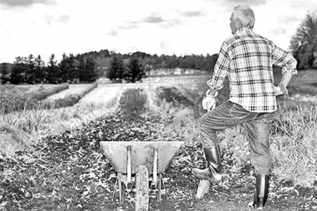 Селяне Николаевщины отказываются быть 'рабами Николая Безуглого'