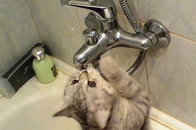 Частина жителів Кіровограда сидить без води через прорив труби