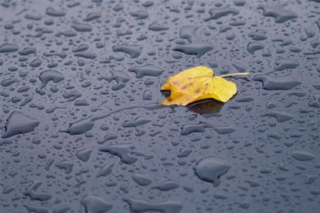 Почти всю Украину накроют дожди