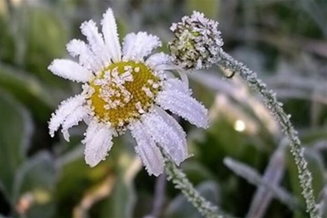 Синоптики прогнозируют, что оппозицию на Софийской засыплет снегом