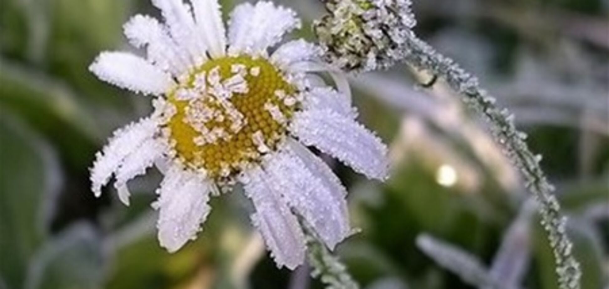 Синоптики прогнозують, що опозицію на Софійській засипле снігом