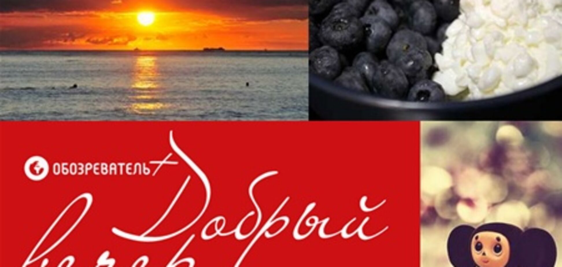 'Добрый вечер': о музее Чебурашки и китайской моде