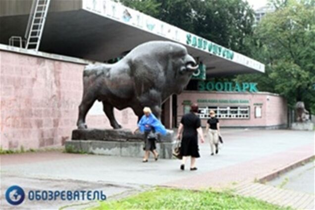 В киевском зоопарке отменили выходной 