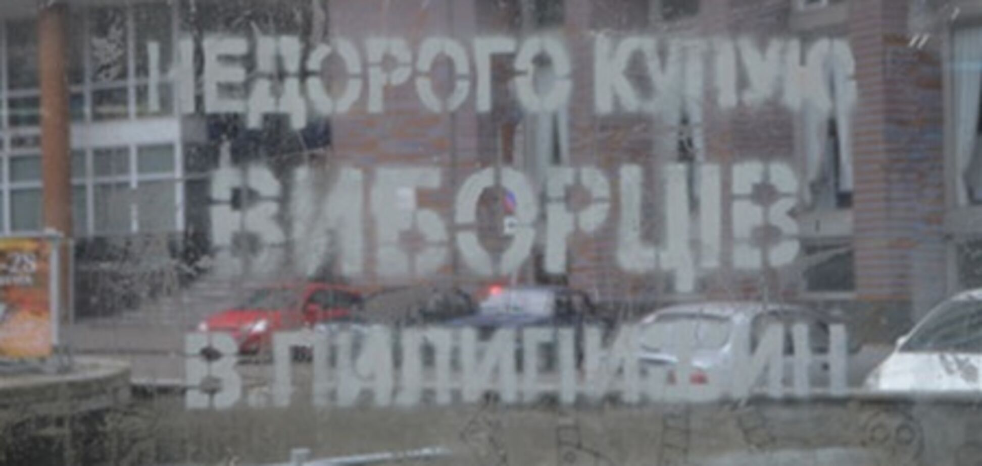 Задержанным за незаконную агитацию оказался 'свободовец'