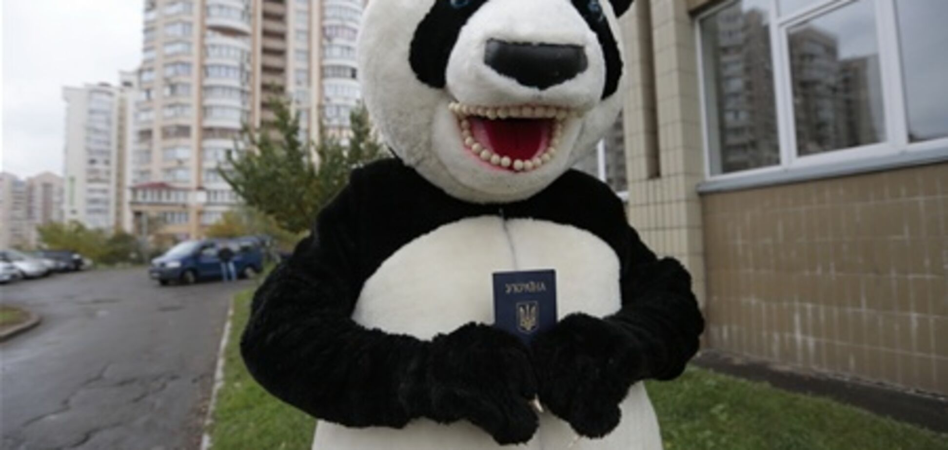 Хит Интернета - панда проголосовала на выборах. Видео