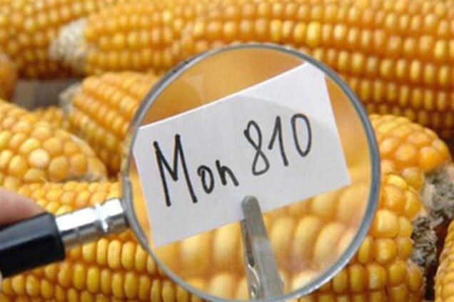 Ученые доказали смертельную опасность ГМО-продуктов
