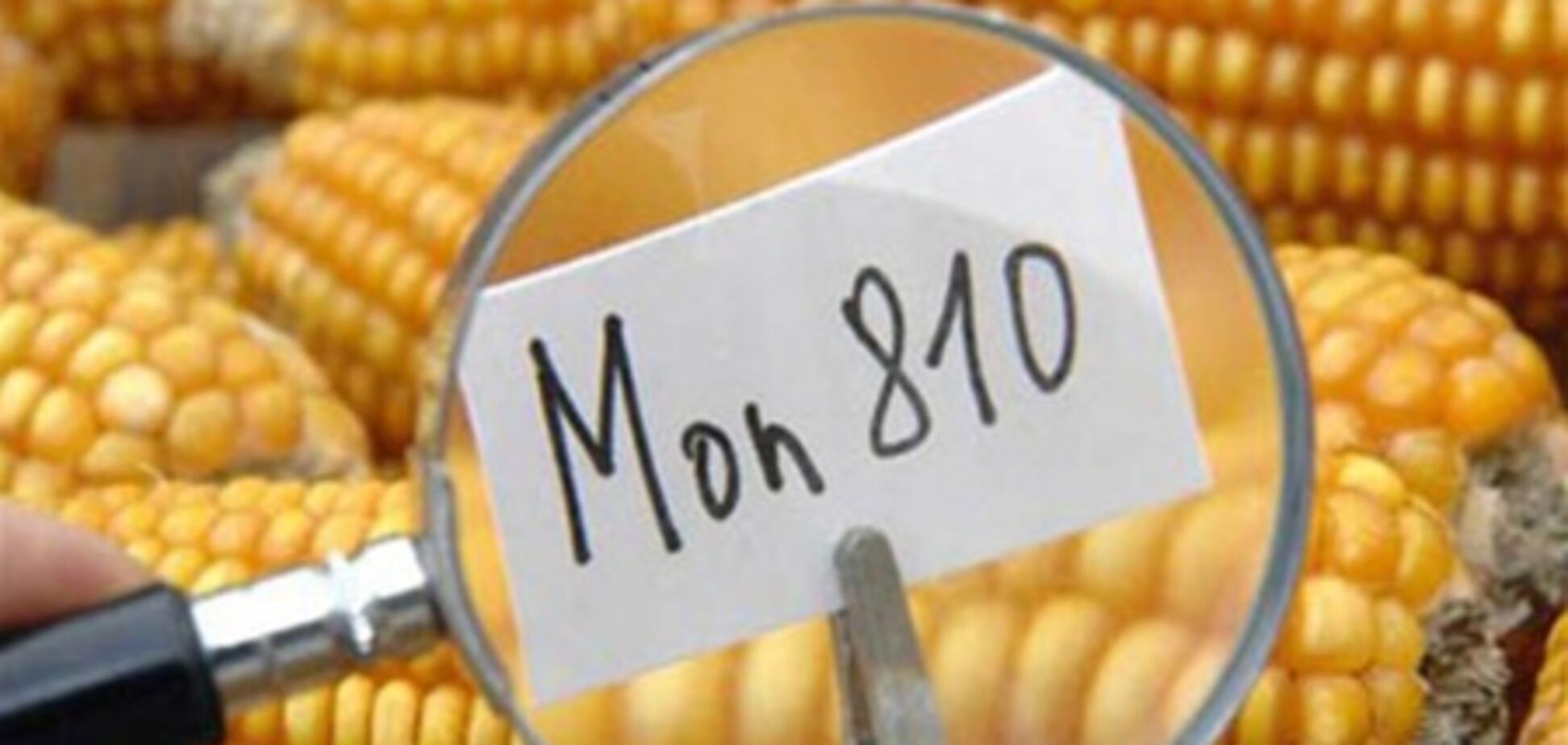 Ученые доказали смертельную опасность ГМО-продуктов