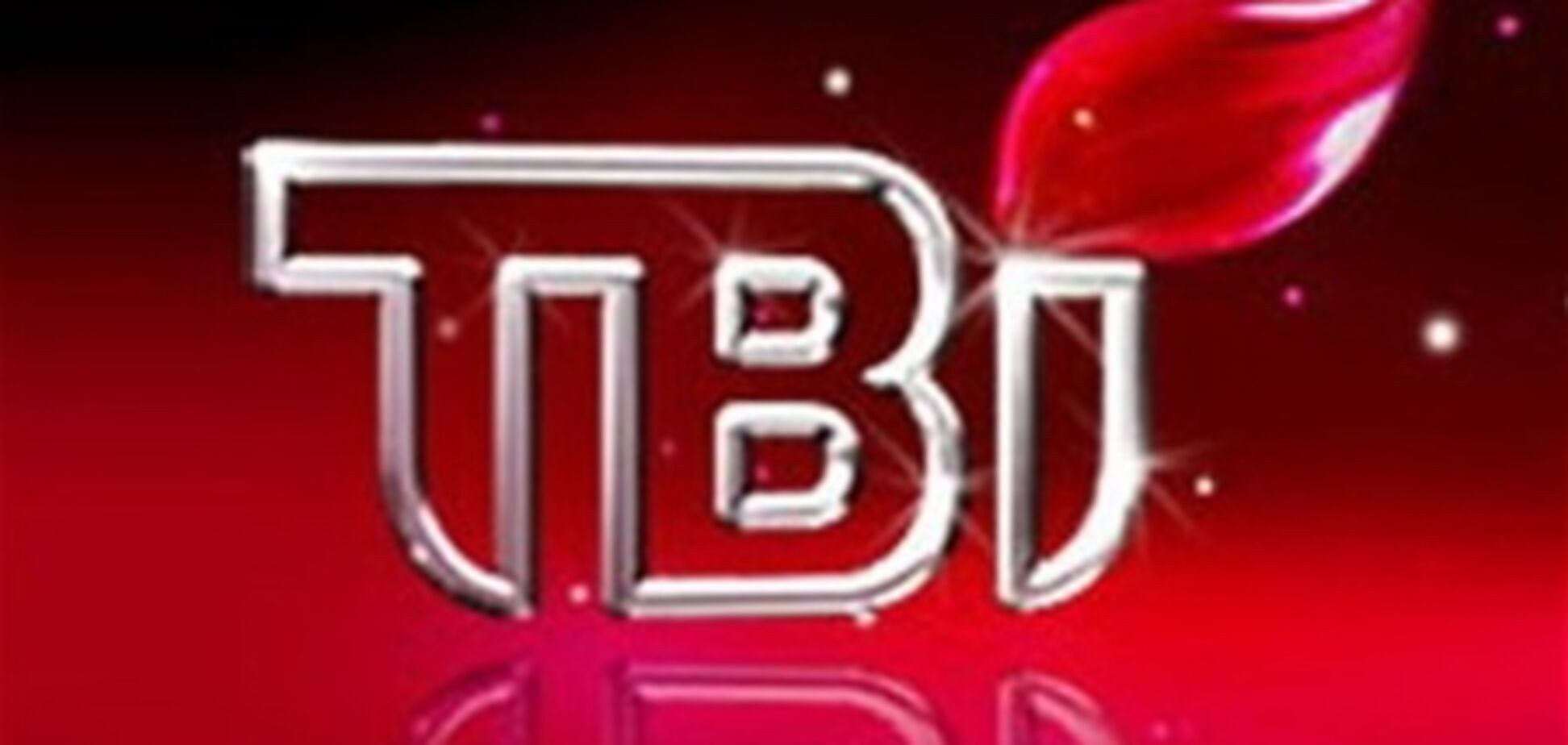 ГНС: проверка ТВі проводилась по постановлению следователя