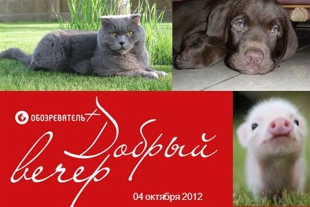 'Добрый вечер': пять главных событий Книжного Арсенала