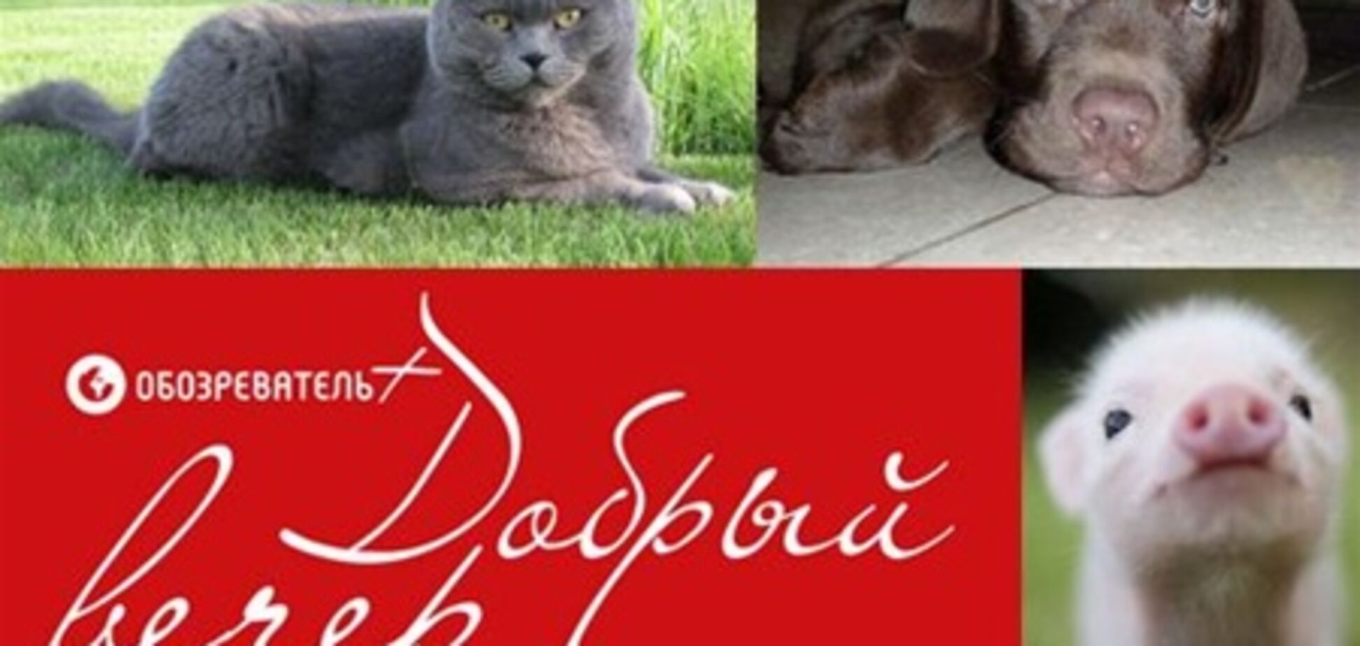 'Добрый вечер': пять главных событий Книжного Арсенала