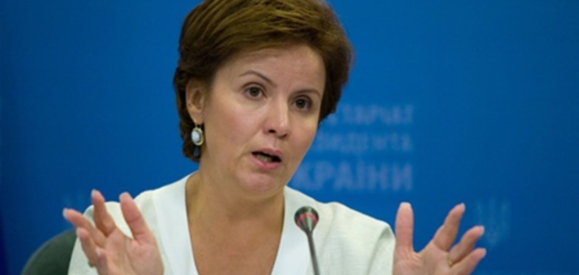 Ставнийчук: Конституционная ассамблея пока не готова встречаться с Януковичем